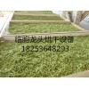 楊木烘干爐廠家|濰坊哪里有供應(yīng)優(yōu)惠的蔬菜烘干設(shè)備