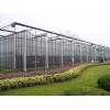 淄博連棟溫室工程建造找哪家公司好-泰安連棟溫室工程建造