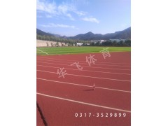 江西省撫州市塑膠跑道|塑膠跑道廠(chǎng)家