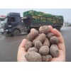 專業(yè)的頁巖陶粒制作商-頁巖陶粒價格