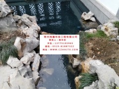 常州市小區(qū)景觀河水凈化過濾循環(huán)增