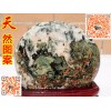 優良的廣西奇石網國畫石東寶觀賞石經營部優惠供應 廣西奇石網國畫石別具一格