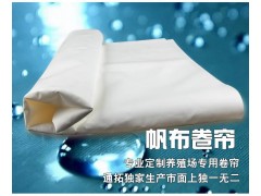 夏天臺風炎熱季節(jié)，豬只養(yǎng)殖通拓推