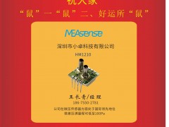 深圳小卓科技有限公司 經理王長青 2020新春寄語 一百零八星報喜之地然星
