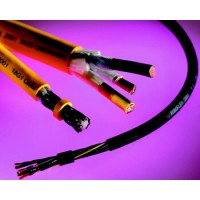 局域網(wǎng)電纜  品牌： BELDEN 標(biāo)簽：連接電纜