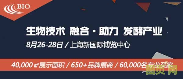 圖片6