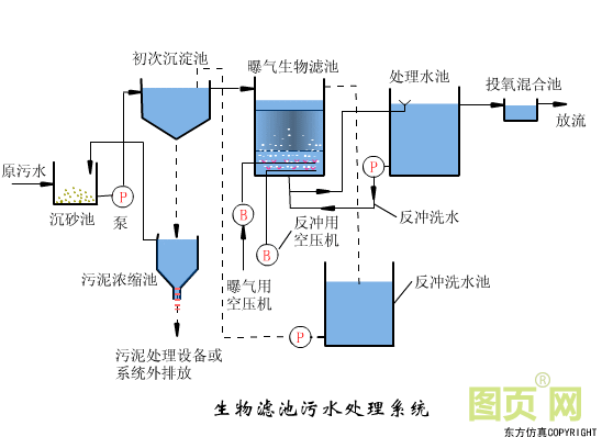 圖片19