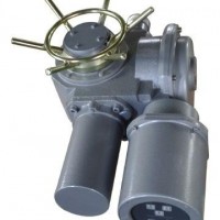DZW15-24-A00-WK 智能開關型電動裝置