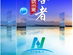 【參會(huì)指南】超200家單位報(bào)名，五十六場(chǎng)精彩報(bào)告，共同開啟鈉電盛會(huì)