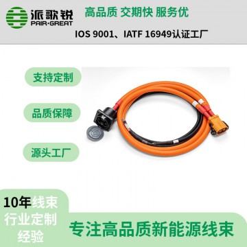 新能源電動(dòng)汽車250A充電插座高壓線